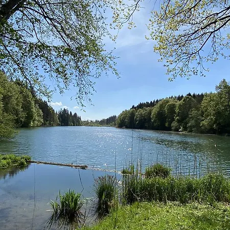 Mohr *