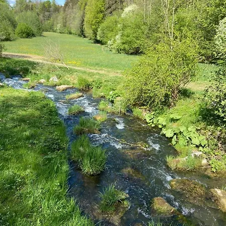 Mohr
