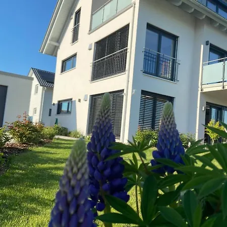 Mohr Apartmán *