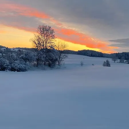 Lägenhet Mohr Kißlegg