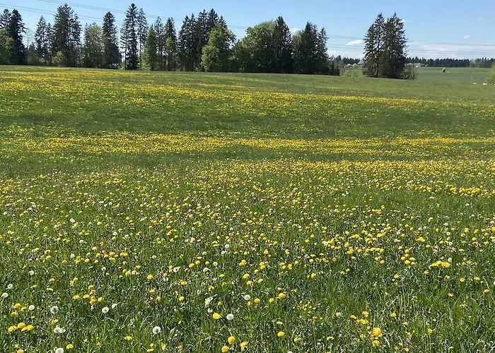 Mohr Apartment Kisslegg